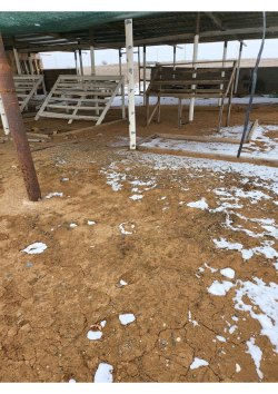 Объект незавершенного строительства,
площадь: 210 кв.м., кадастровый номер:
30:10:020501:200 и…