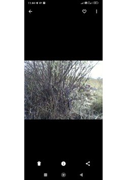 Земельный участок, площадь: 820 кв.м.,
адрес (местонахождение): Российская
Федерация, Курганская…