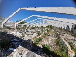 Производственный комплекс (здания телятника, коровника, кормоцеха и з/участки) в Курской области…