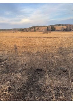 Земельный участок, площадь 740 +/- 10  кв.м., адрес (местонахождение): Красноярский край…