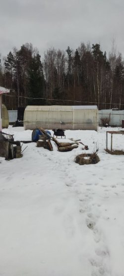 Земельный участок, кадастровый номер 47:14:0701001:205.