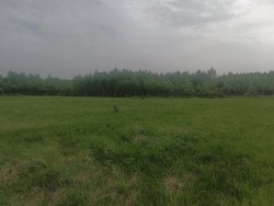 Земельный участок - 137 968 +/- 5 885 кв. м, адрес: Смоленская обл., р-н. Темкинский, тер. с/п…