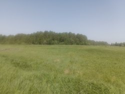 Земельный участок - 88 908 +/- 4 724 кв. м, адрес: местоположение установлено относительно…