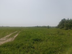 Земельный участок - 281 531 +/- 8 407 кв. м, адрес: местоположение установлено относительно…