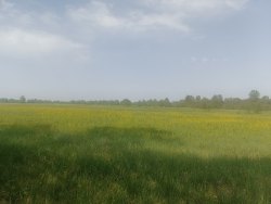 Земельный участок - 42 338 +/- 3 260 кв. м, адрес: Смоленская обл., р-н. Темкинский, тер. с/п…