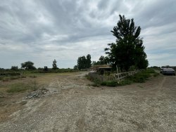 Коровники, литер А2 и А3, площадь общая 2 412 ,8 кв.м. (полезная 2 312,6 кв.м.). Навес, птичник…