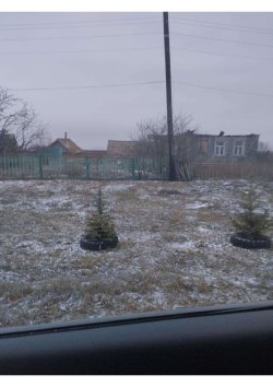  49/200 долей на Жилой дом, площадью 81,8 кв.м., Жилое, адрес: Ульяновская обл., Цильнинский р-он…