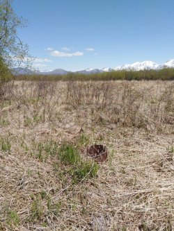 Земельный участок в Камчатском крае, 900 кв.м.