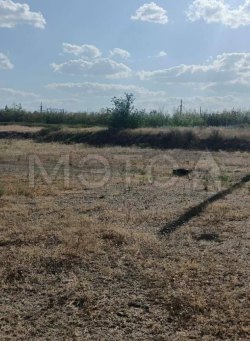 Земельный участок в Курганской обл., 1000 кв.м.