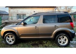 Ильина Карина Александровна Лот №1