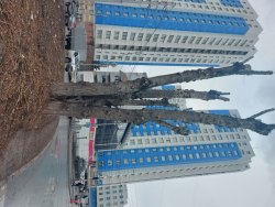 ИП Глава КФХ Дьяков Иван Сергеевич Лот №1 - Жилое помещение в г. Новосибирск