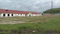 Коровник, общей площадью 1 765,5 кв. м, расположенное по адресу: Приморский край, Партизанский р-н…