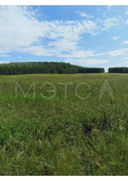 Земельный участок в Свердловской обл., 30307 кв.м.