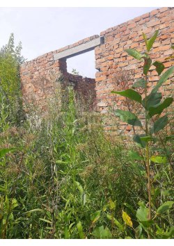 Здание 24 кв.м. и земельный участок 800 кв.м. в Курганской обл.