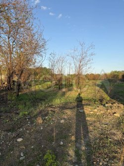 Земельный участок в Ставропольском крае, 2000 кв.м.