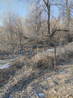 Земельный участок в Приморском крае, 3300 кв.м.