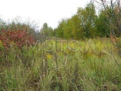 Земельный участок в Крыму, 5000 / +-354,0 кв.м.