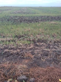 154/102871 доли земельного участка в Курганской обл.