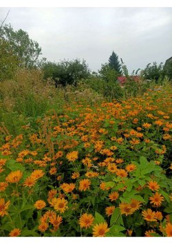 Имущество Брелюс Натальи Владимировны:
Земельный участок, площадь 408 +/- 7.07 кв.м., адрес…