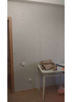 1/3 доля в праве на жилое помещение, площадь: 54,3 кв.м., адрес (местонахождение): Российская…