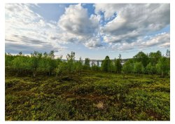 2/6 доли земельного участка в Мурманской обл.