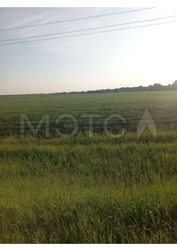 4/293 доли земельного участка в Курганской обл.