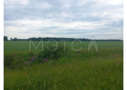 4/293 доли земельного участка в Курганской обл.