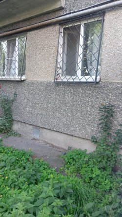 Жилое помещение, расположенное по адресу: Свердловская область, г. Екатеринбург, ул. Расточная, д…