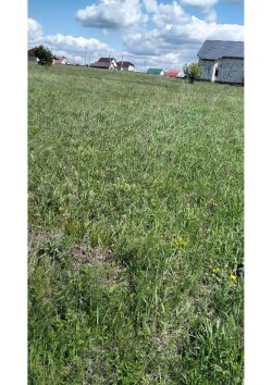 1/4 доля в праве на земельный участок, площадь: 1 000 кв.м., адрес (местонахождение): Пензенская…