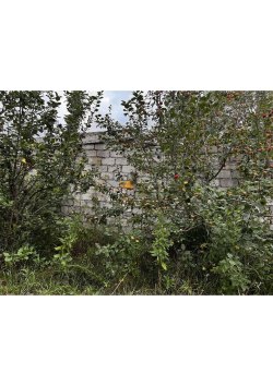 Нежилое здание, площадь: 24 кв.м., кадастровый номер: 02:61:011704:1192 и земельный участок…