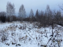 1/4 доля в праве на земельный участок, площадь: 1 088 кв.м., адрес (местонахождение): Ульяновская…