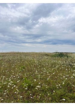 Земельный участок, площадь: 1 179м?, адрес (местонахождение): Российская Федерация, Свердловская…