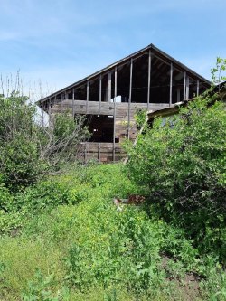 Жилое здание площадь: 38,1 кв.м., кадастровый номер: 63:07:0102003:724 и земельный участок…