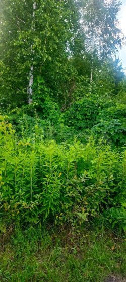 Земельный участок в Ульяновске, 656 +/- 9 кв.м.