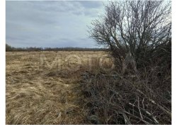 Земельный участок в Чувашии, 10000 +/- 70 кв.м.