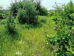 1/2 доля земельного участка в Самаре