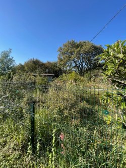 Земельный участок, общей площадью 611 кв. м, расположенный по адресу: Краснодарский край, Сочи…