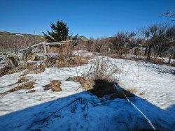 Земельный участок в Сахалинской обл., 567 кв.м.