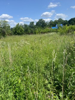 Земельный участок