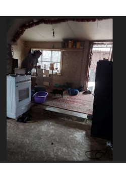 Анисимова Светлана Николаевна
Лот № 1 - Квартира, площадь 28,4 кв.м., адрес (местонахождение):…