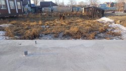 Открытые торги в форме публичного предложения по продаже имущества должника Меджидова Рафика Матлаб…