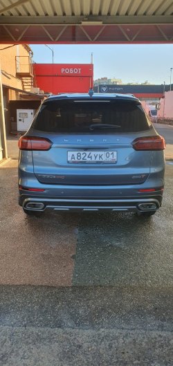 Амелин Алексей Алексеевич Лот №1