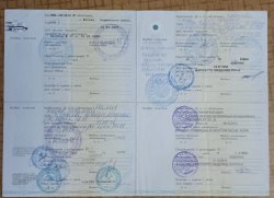 Легковой автомобиль, марка: LADA KALINA, год изготовления: 2006, цвет: красный, VIN:…