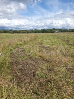 Земельный участок в Сахалинской обл., 1000+/-277 кв.м.