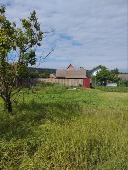 Лот 1
Вид объекта недвижимости: Земельный участок Кадастровый номер: 31:17:1903003:80
Виды…