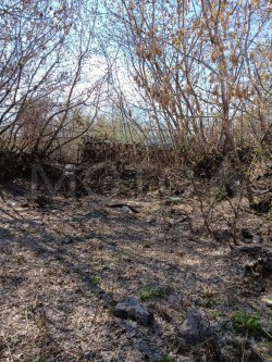 5/8 доли земельного участка в Ульяновской обл.