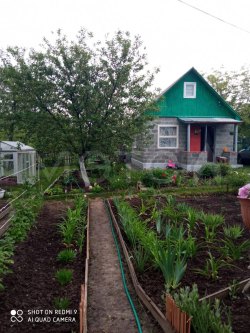 Дача 25 кв.м. и земельный участок 888 кв.м, Белгородская область, СТ "Локомотив"