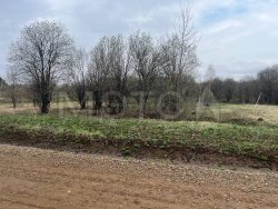 1/5 доля земельного участка в Пермском крае