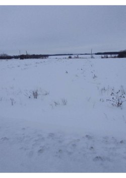 Земельный участок, площадь: 2 000 кв.м., адрес (местонахождение): Республика Марий Эл, р-н…