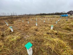 Земельный участок, площадь: 1 281кв.м., адрес: Российская Федерация, Ярославская область…